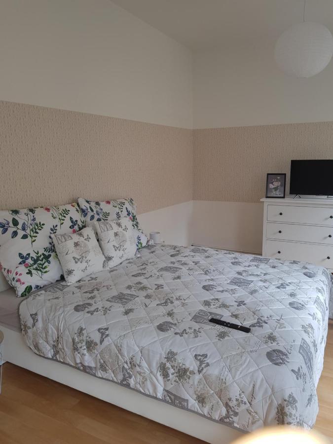 Apartman Deny2 Leilighet Decin Eksteriør bilde
